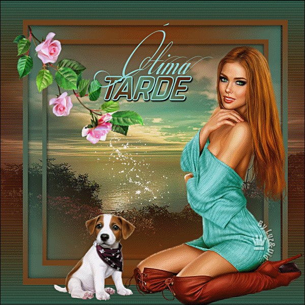 novo16-%2B%2528MB%2529maryluz.gif