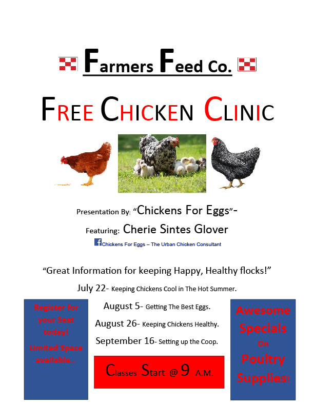 chickens-for-eggs-chicken-consulting-for-the-urban-backyard-flock-owner