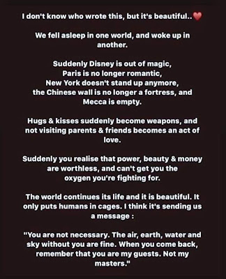 Neil Young News: Top 10 Neil Young News Posts | Thrasher's Wheat