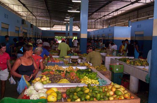 José orlando vem me namorar