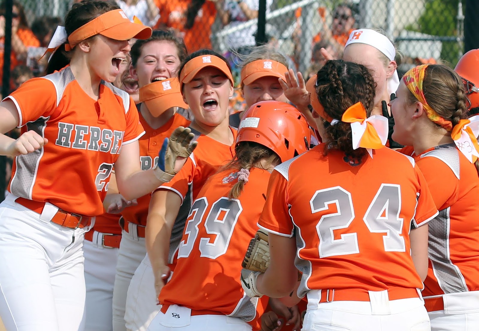 Mark Kodiak Ukena IHSA Softball Class 4A Sectional Final Hersey vs