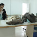 Museu da Memória de RO conclui catalogação de fósseis com mais de 29 mil anos