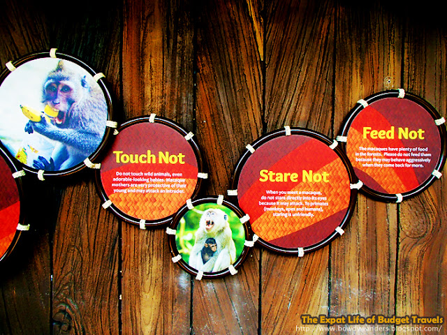 bowdywanders.com Singapore Travel Blog Philippines Photo :: Singapore :: River Safari Singapore Wildlife Park - Asia’s First and Only River-Themed Wildlife Park