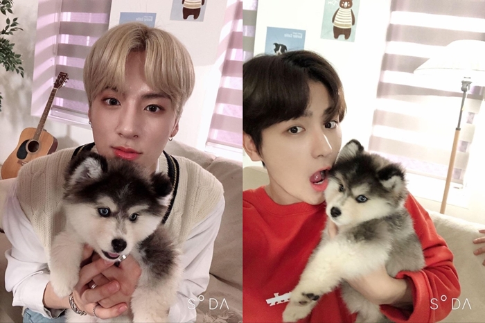 어제자 댕댕이랑 만난 인간 댕댕이 남돌 | 인스티즈