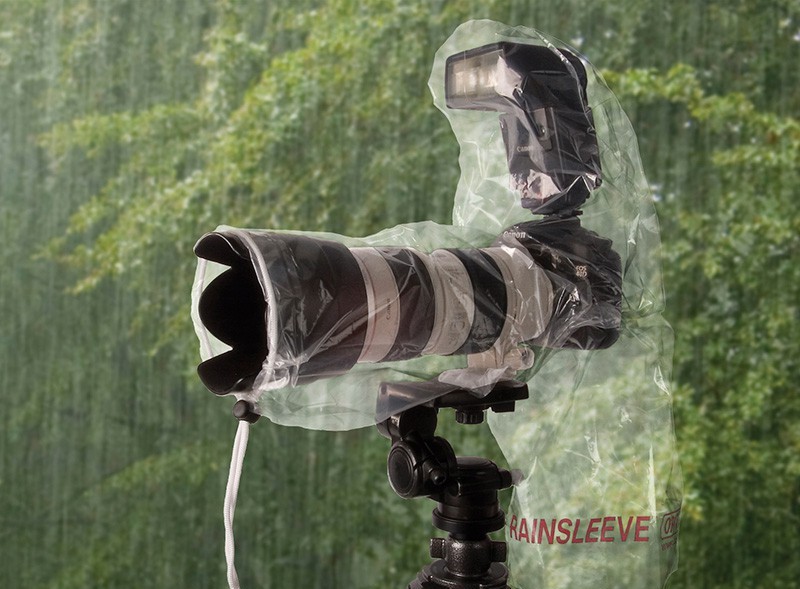 11 Essential Accessories for Wildlife Photography Park Cameras Blog