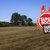 Super Bock Super Rock 2019: As 5 razões que vão tornar o regresso ao Meco inesquecível