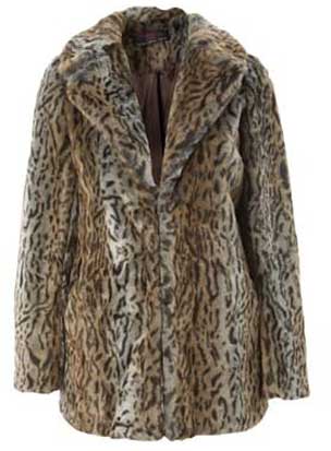 Animal Body Coverings: Fur