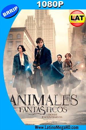 Animales Fantásticos y Dónde Encontrarlos (2016) Latino HD 1080P ()