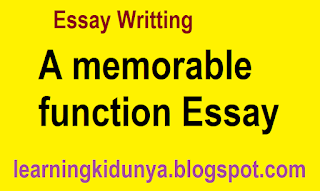 A memorable function Essay