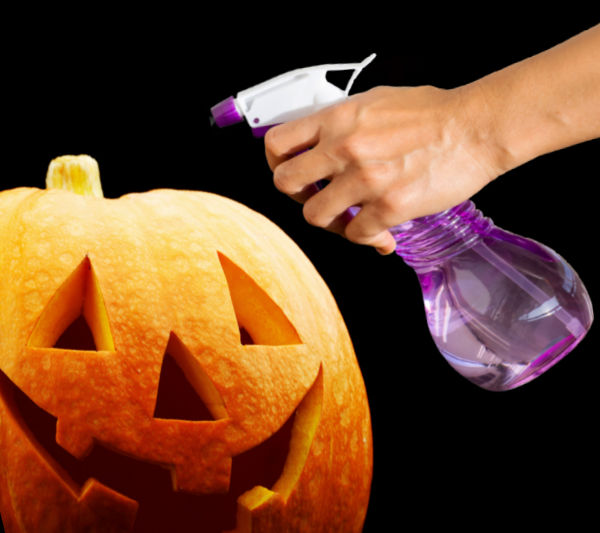 Tips & Tricks to preserve carved pumpkins and prevent rotting jack-o-lanterns #halloween #pumpkinhacks #pumpkintipscarving #jackolanternpreservationhacks #growingajeweledrose