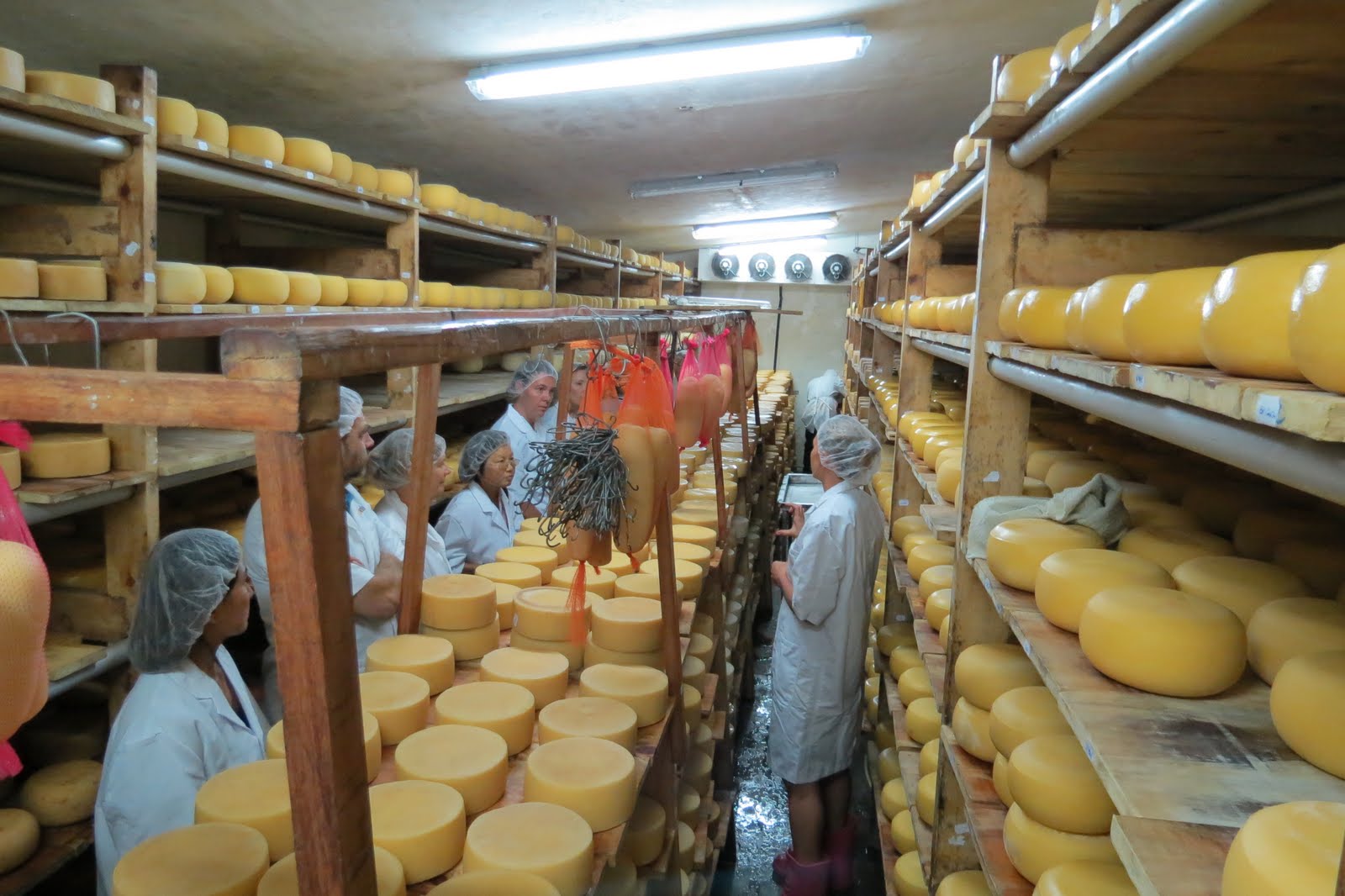 Report from Nairobi Nairobi 2012, Brown's Cheese Factory