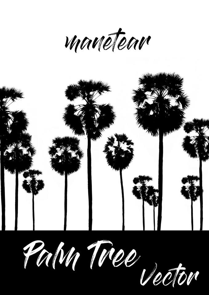 palm tree khmer palm tree vector free psd file vectorkh tree vector free