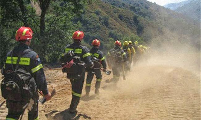 ΕΙΔΗΣΕΙΣ, ΣΕΡΡΕΣ, ΡΟΔΟΛΙΒΟΣ ΣΕΡΡΩΝ, ΑΣΤΥΝΟΜΙΚΑ, 