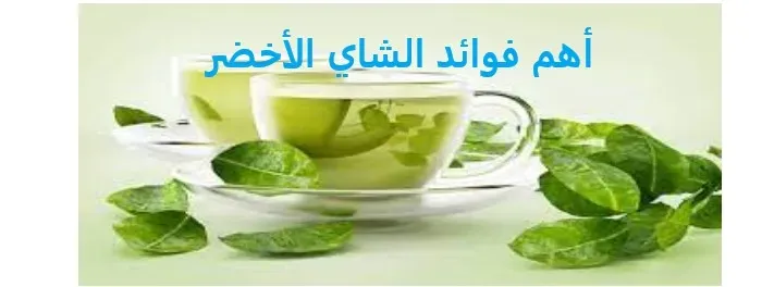 تعرف على أهم فوائد الشاي الأخضر