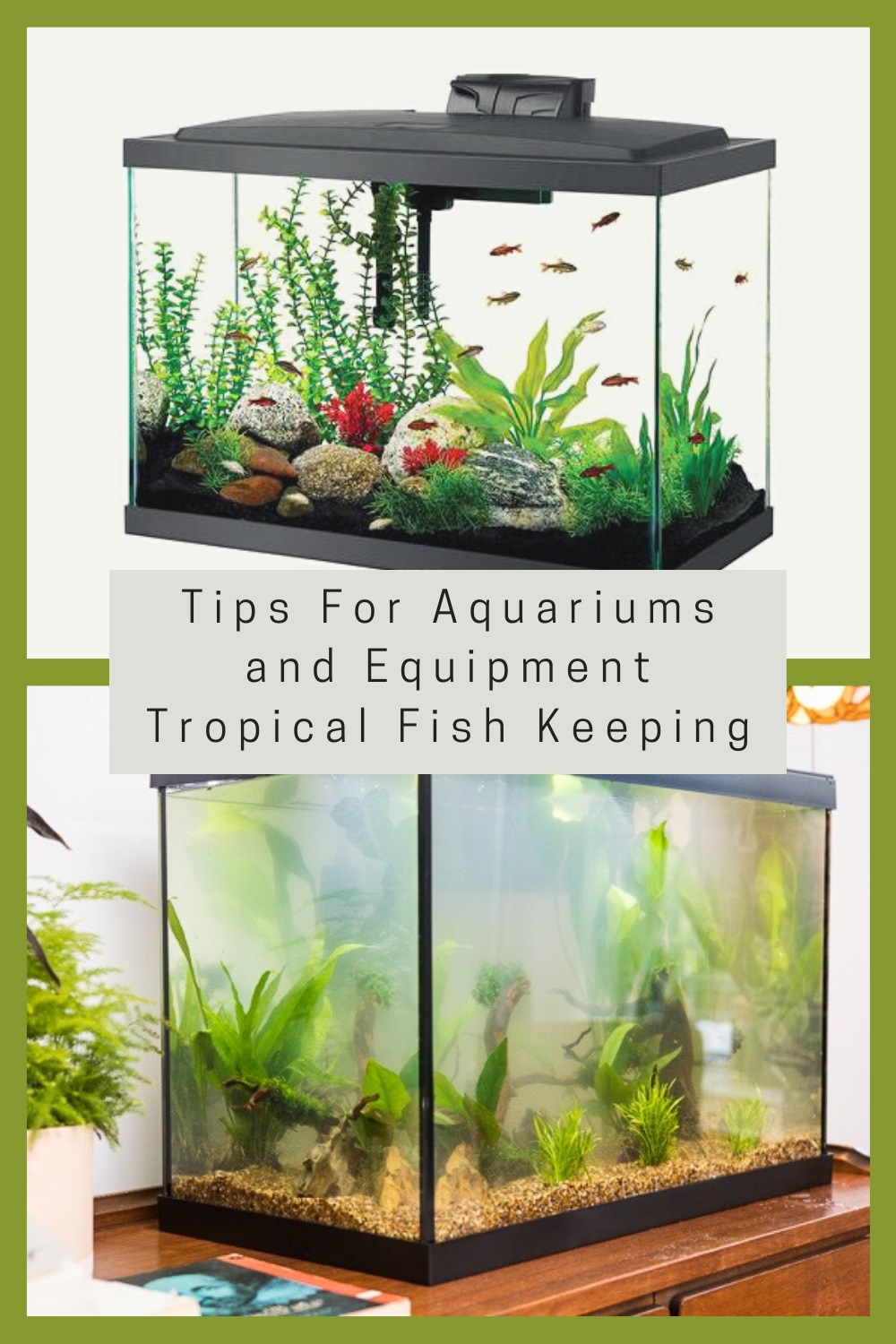36 Tips For Aquariums and Equipment _ Tropical Fish Keeping