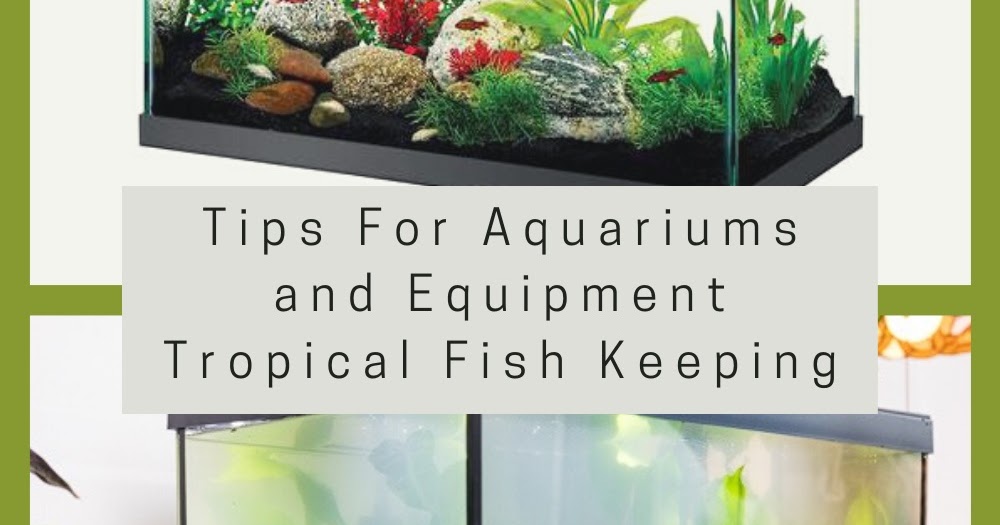 36 Tips For Aquariums and Equipment _ Tropical Fish Keeping