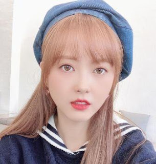 Fakta Biodata Go Ara Lengkap