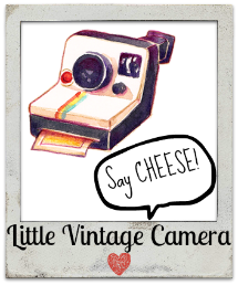 Little Vintage Camera