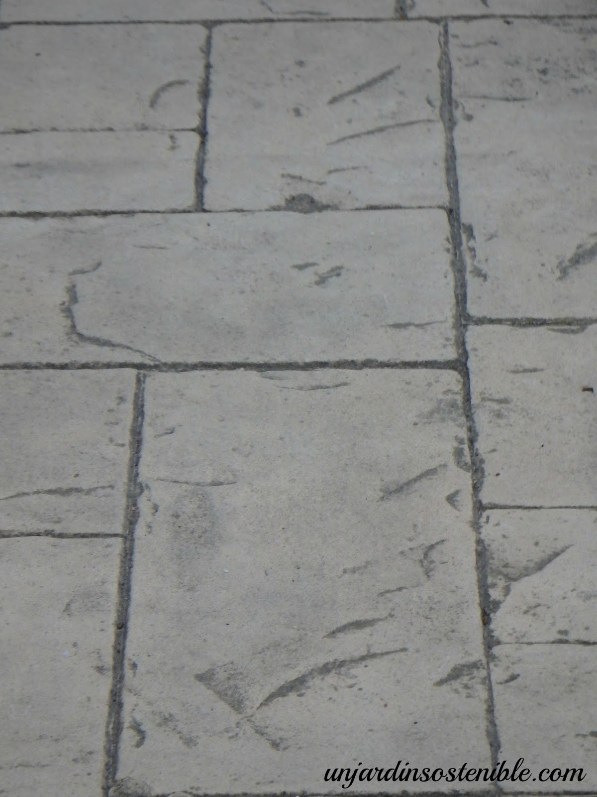 unjardinsostenible.com: Diseña tu propio jardín.