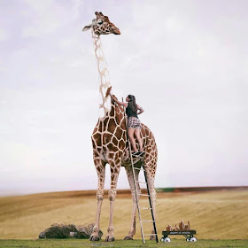 11-Giraffe-Phuoc-Nguyen-New-Worlds-in-Photo-Manipulation-www-designstack-co