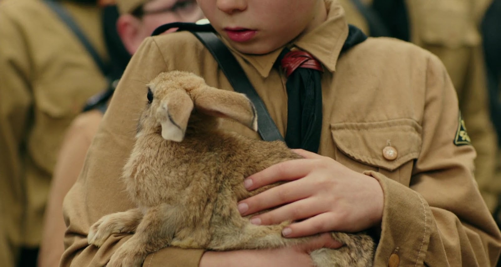 юнион кролик. красивые кролики на календарике. кролики 2019. кролики 2019. кролик 2022.