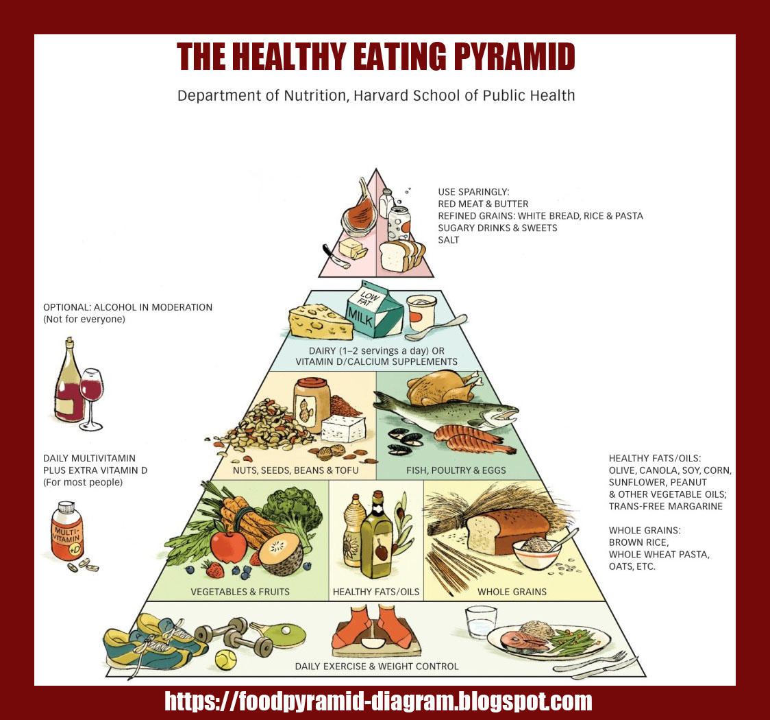 Food Pyramid Diagram