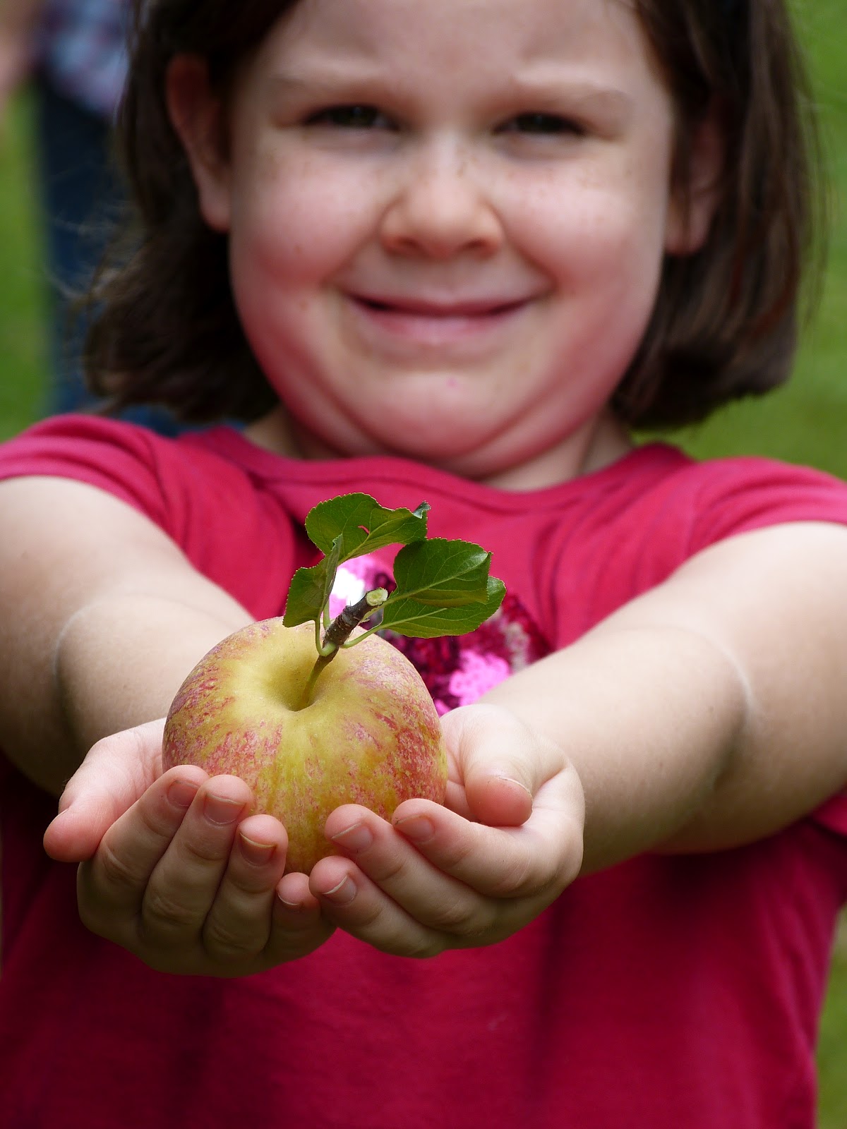 Monica Wilkinson Apple Picking