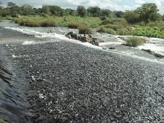 Two riders relaxing in the water next to a rocky formation.