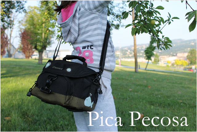 como-personalizar-funda-camara-fotos-con-chalk-paint