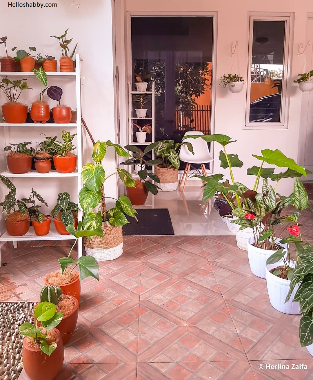 6 Ide Desain Taman Teras Minimalis dengan Penataan Tanaman dalam Pot