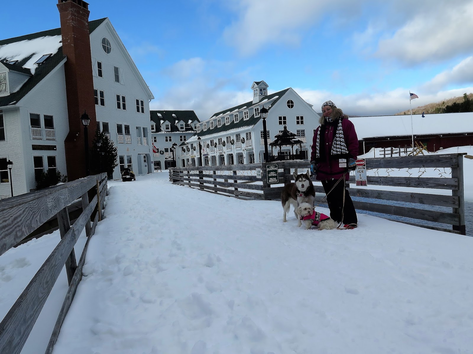 Dogs Luv Us and We Luv Them Great Places To Go With Your Dog