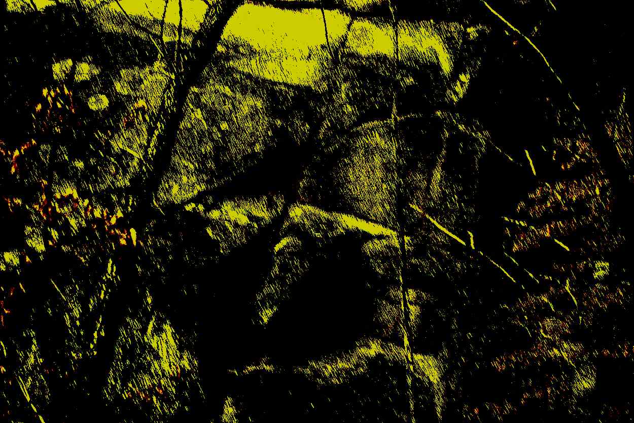 의정부 도봉산 망월사 의정부 도봉산 망월사