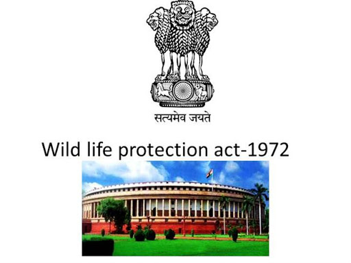wildlife protection act 1972