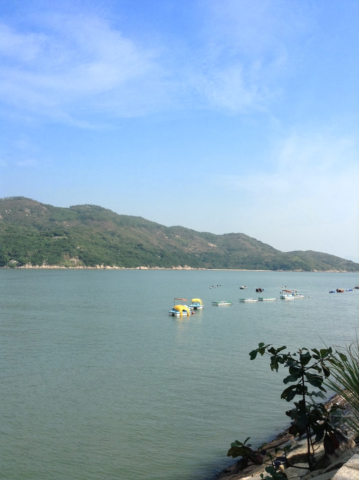 Dim Sum and Long Runs The best Nachos this side of Sydney