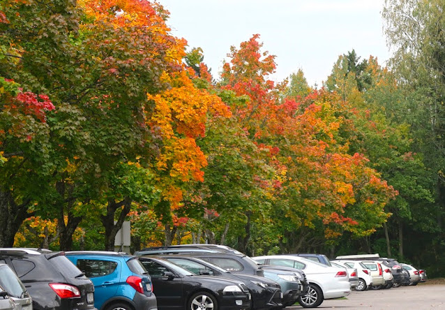 orvokki4you: Ruska / Autumn colors