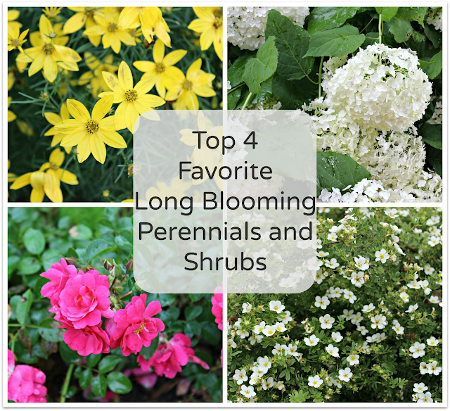 Happy At Home: Favorite Long Blooming Perennials and Shrubs