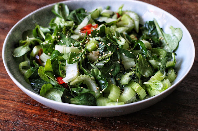 Sweet and Sour Celery Cilantro Salad