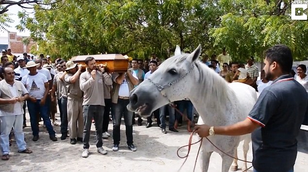 حصان يبكي وفاة صاحبه ويُشيعه إلى القبر (فيديو)