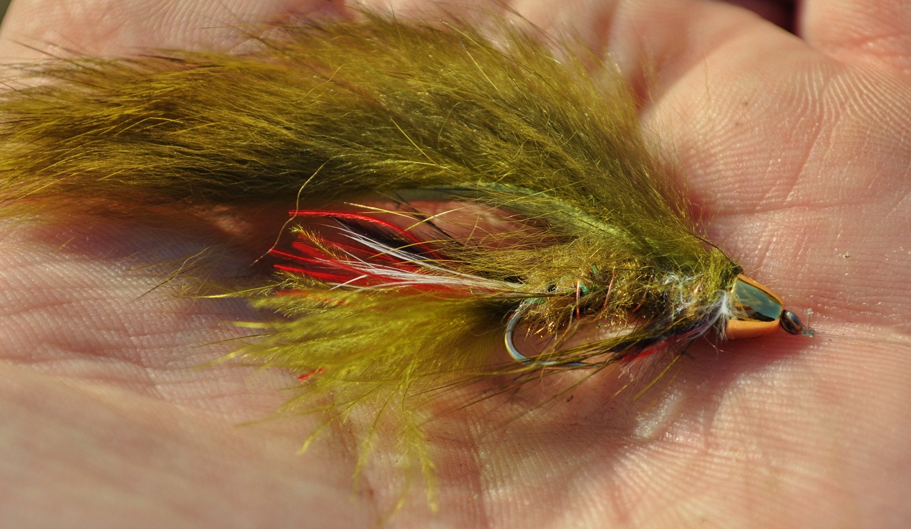 Driftless Creations Fly Tying How to tie Baby Brook Trout streamer