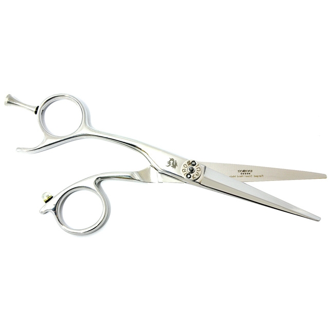 Amazing and Expensive Universe Most Popular Hair Scissors