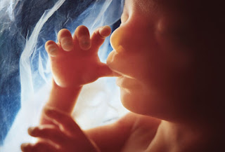 20 सप्ताह में गर्भाशय में भ्रूण की तस्वीर