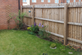 Mini Garden Makeover! Small Garden Ideas for Brightening Up a Low