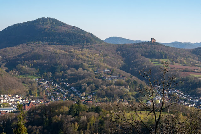 Picknicktour „Berg und Tal“ | Wandern Südliche Weinstraße Annweiler-Gräfenhausen Eußerthal | Jungpfalzhütte | Holderquelle 21