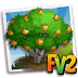Fv 2 Bramley Apple (Elder ,Heirloom, Tree )