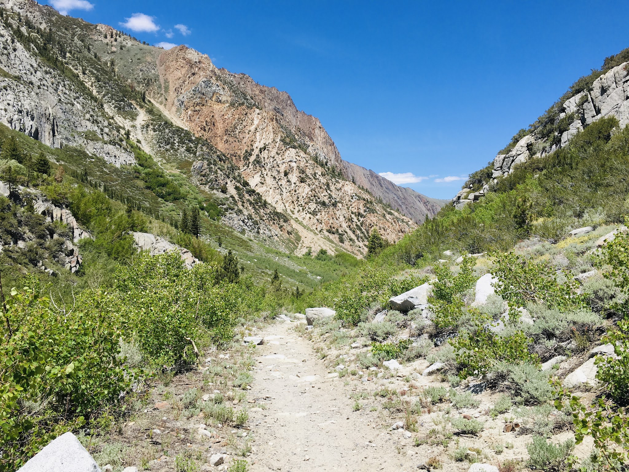 The View to There Hike McGee Creek trail / June 2020
