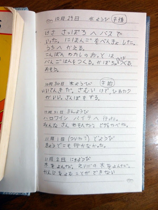 Hokkaido Kudasai Japanese Diary