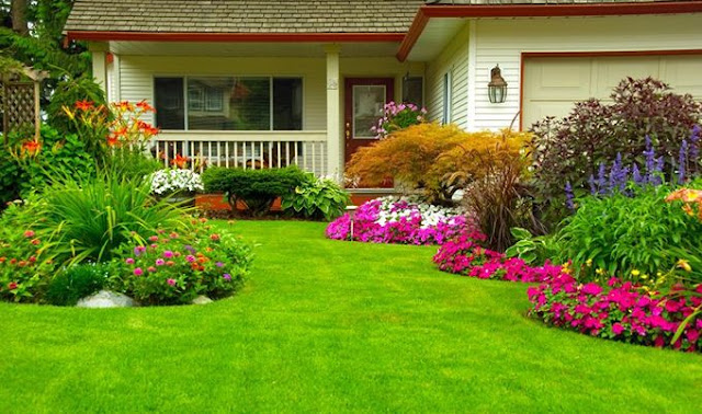 garden%2Blandscape%2B%252835%2529
