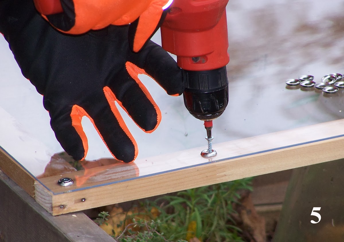 Three Dogs in a Garden Cold Frame Howto