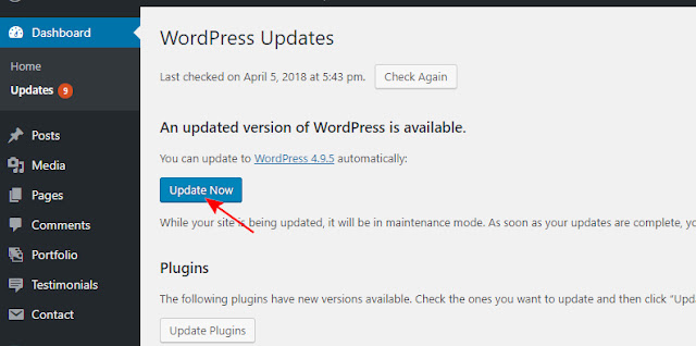 How to update wordpress step 2