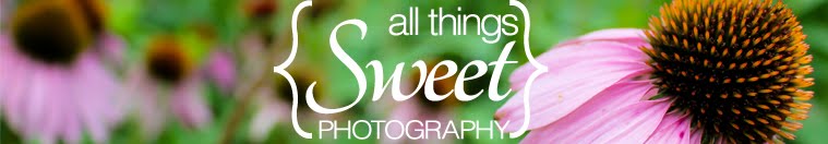 All Things Sweet Photography